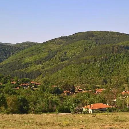 Pensiune Baltova House *