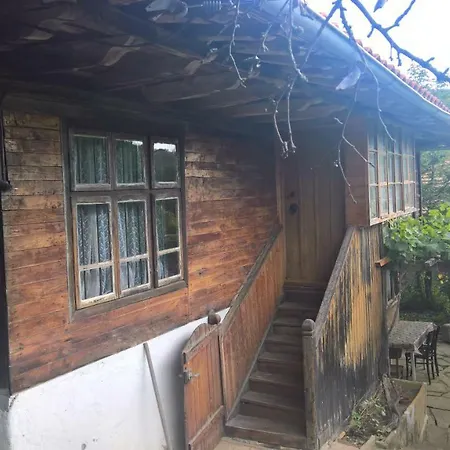 Baltova House Pensiune Medven