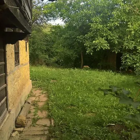 Baltova House Pensiune